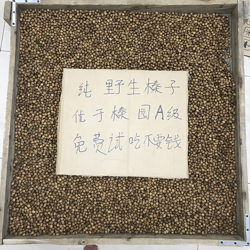 【2025新榛子嘎嘎好】东北特产铁岭水漏小榛子坚果500g特价包邮