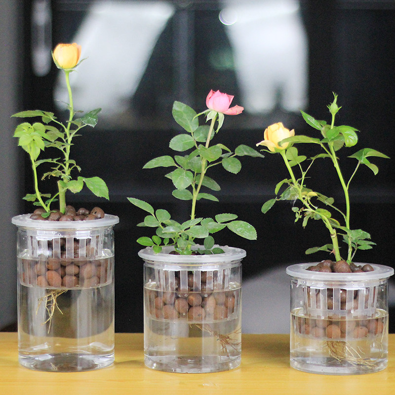 塑料水培器皿带陶粒深定植篮花盆花盆