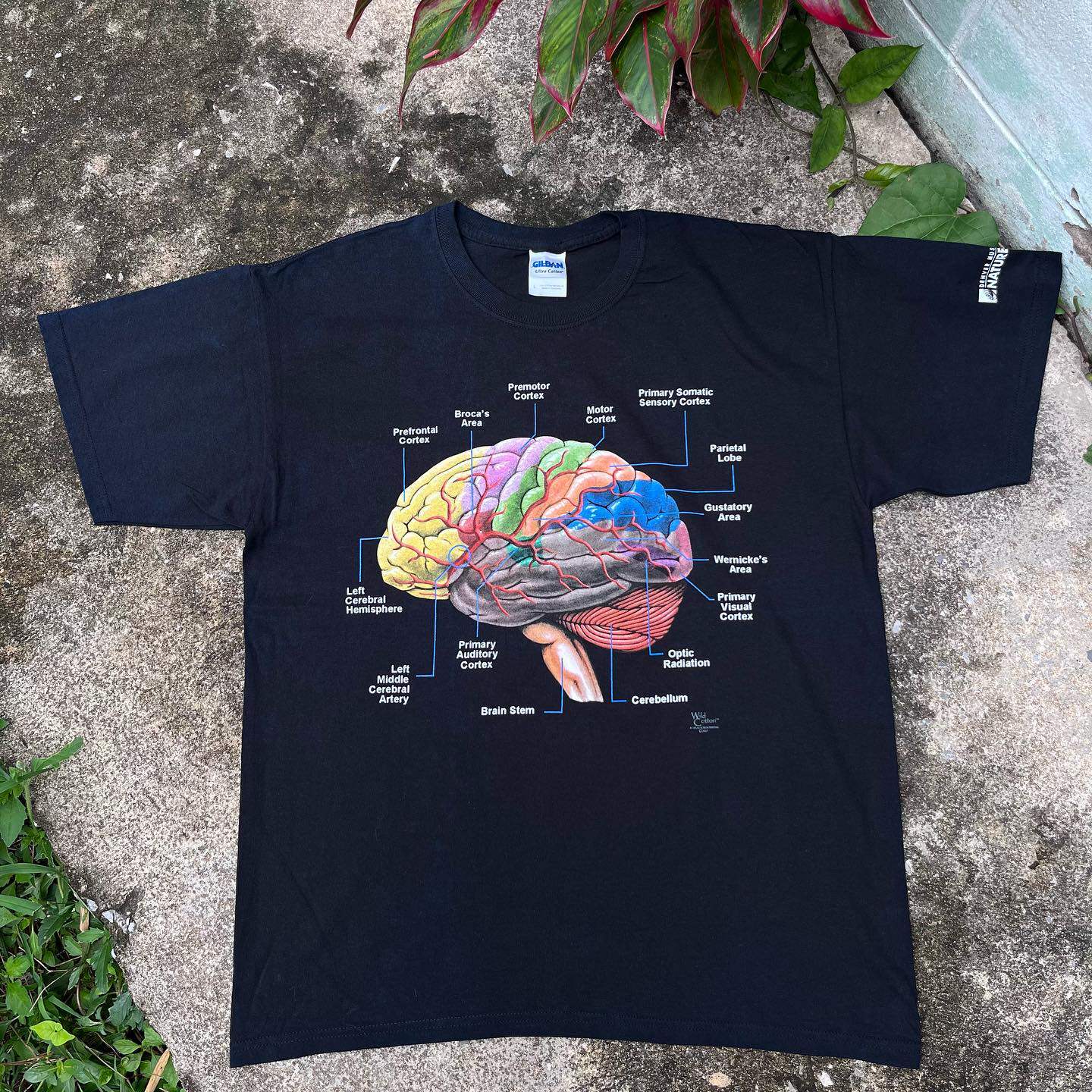 脑袋详细分析图案个性创意印花小众设计感ins风男女同款短袖T恤