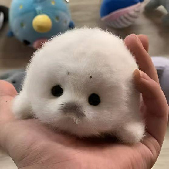 毛绒小海豹毛绒玩偶包包挂件