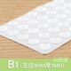 B1