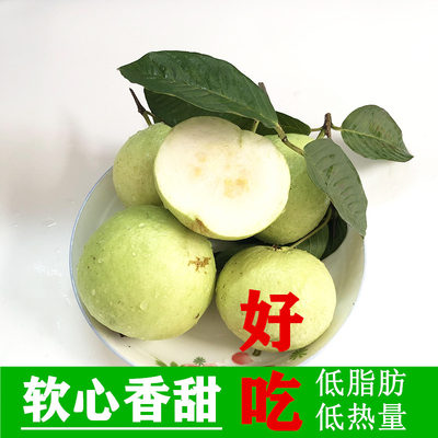 白心芭乐番石榴新鲜水果整箱5斤