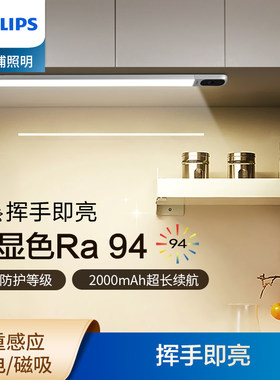飞利浦小山丘光效IP40防尘感应灯