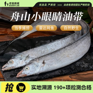 老爸评测舟山带鱼整条正宗高品质海鲜水产东海野生小眼睛油带