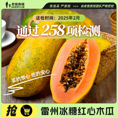 [老爸评测雷州冰糖红心牛奶木瓜新鲜热带水果当季5斤装]