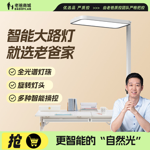 老爸评测智控全光谱护眼落地灯智能大路灯蓝光危害RG0照明