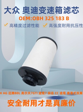 适用大众奥迪变速箱滤芯VWAG高尔夫7迈腾B8L探岳途观湿式离合滤芯