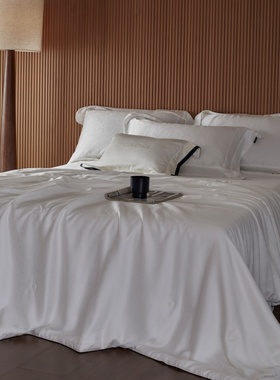 高端简约纯色天丝蚕丝提花夏被四件套轻奢风凉感白色蚕丝空调被