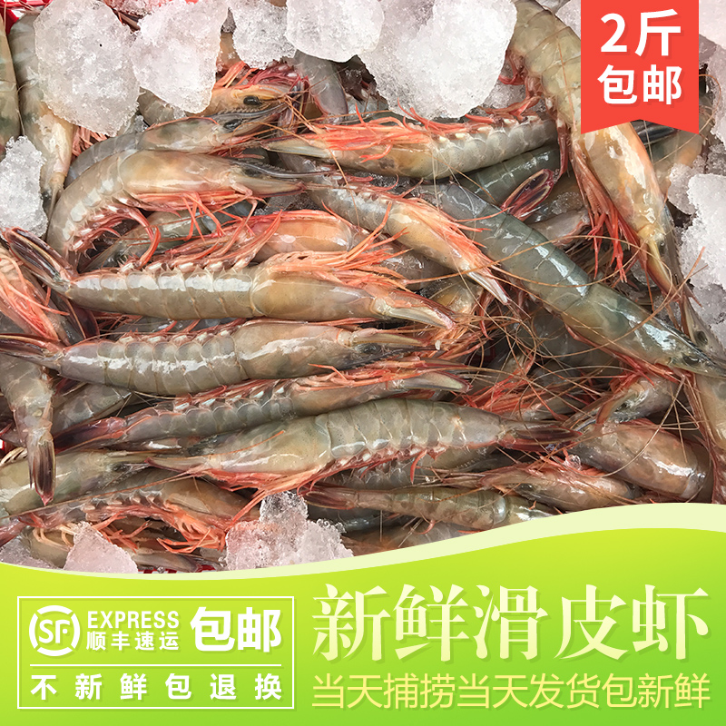 滑皮虾滑皮虾东海新鲜青壳水产