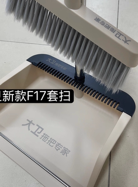 大卫新款F17扫把簸箕套装家用笤帚扫地家用扫把扫地笤帚簸箕扫地