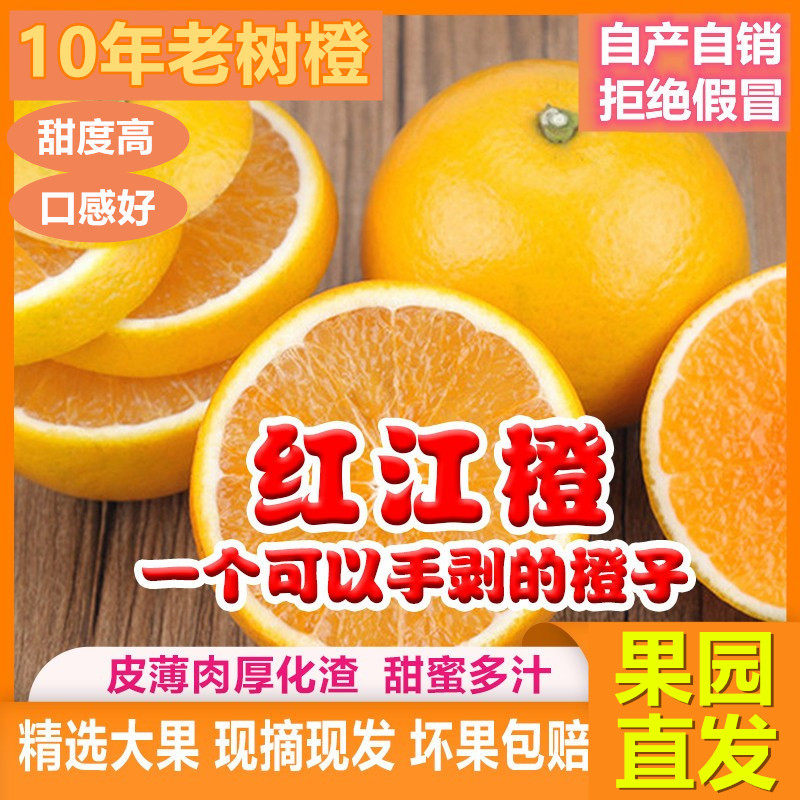 廉江红橙红江橙新鲜当季现摘现发橙