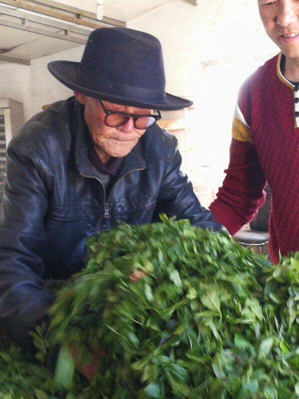 2025正宗青岛崂山绿茶明前茗苑春茶特级茶农手工豆香浓郁礼盒500g