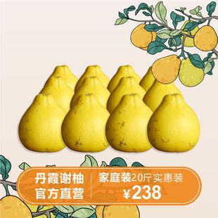 正宗长坝沙田柚 20斤火热销售中 12个装 丹霞谢柚家庭装