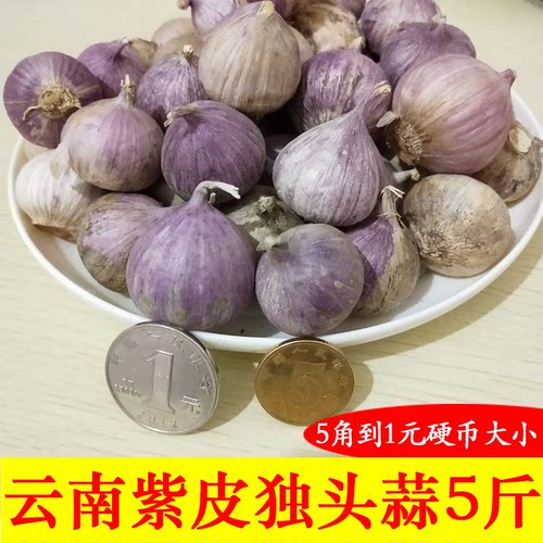 独头蒜紫皮大蒜珍珠蒜