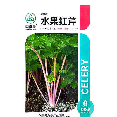 水果红芹种子高铁红芹彩紫红芹种子露天阳台四季春秋高产营养