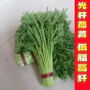 光杆茼蒿种子皇帝菜种籽无纤维青菜叶菜四季蔬菜种子阳台庭院盆栽
