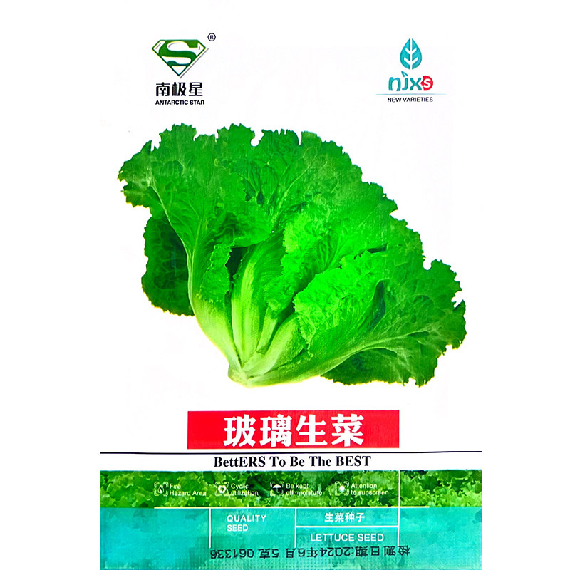 玻璃生菜种子奶油生菜种籽生吃沙拉四季蔬菜青菜阳台庭院盆栽