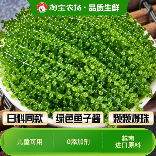 儿童海葡萄即食新鲜水葡萄