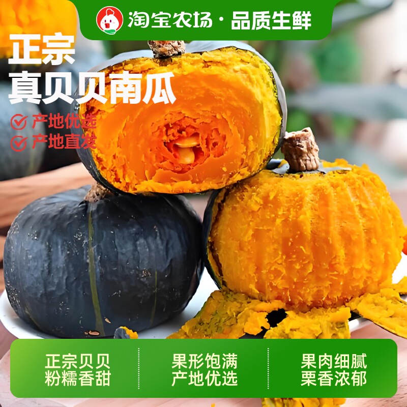 正宗贝贝南瓜板栗味软糯香甜宝宝辅食绵密细腻新鲜现摘美食农场