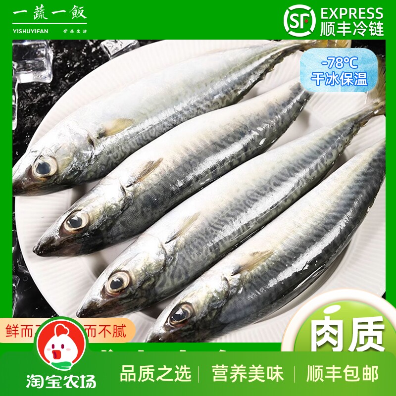 青占鱼鲐鲅鱼青鱼新鲜冷冻青花鱼鲅鱼马鲛鱼海鱼小鲅鱼片顺丰包邮