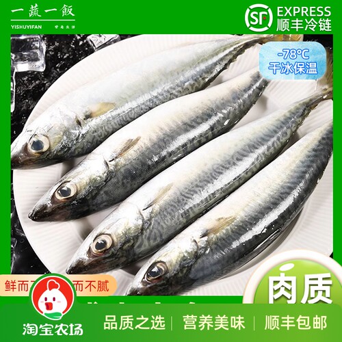鲜冻海捕青占鱼顺丰包邮