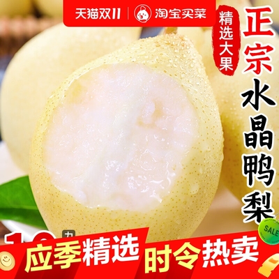 正宗水晶鸭梨新鲜水果时令当季整箱梨子新鲜雪梨鸭梨山东河北10斤