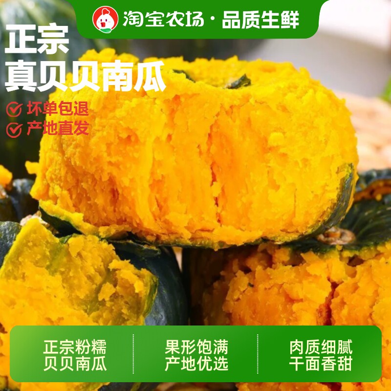 正宗贝贝小南瓜板栗味黄金粗粮宝宝辅食当季新鲜现摘蔬菜农场直发
