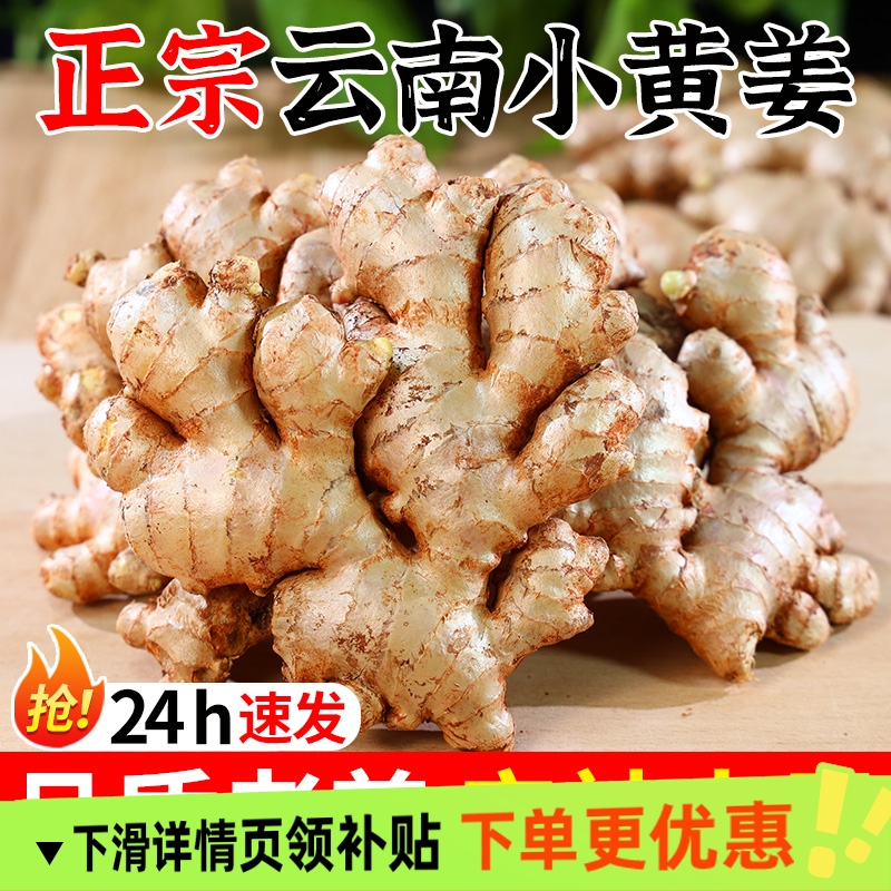 云南小黄姜生姜批发1/2/3/5/9斤现挖新姜嫩姜老姜仔姜月子姜沙姜