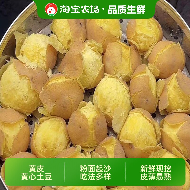 黄心土豆新鲜新土豆黄皮图片