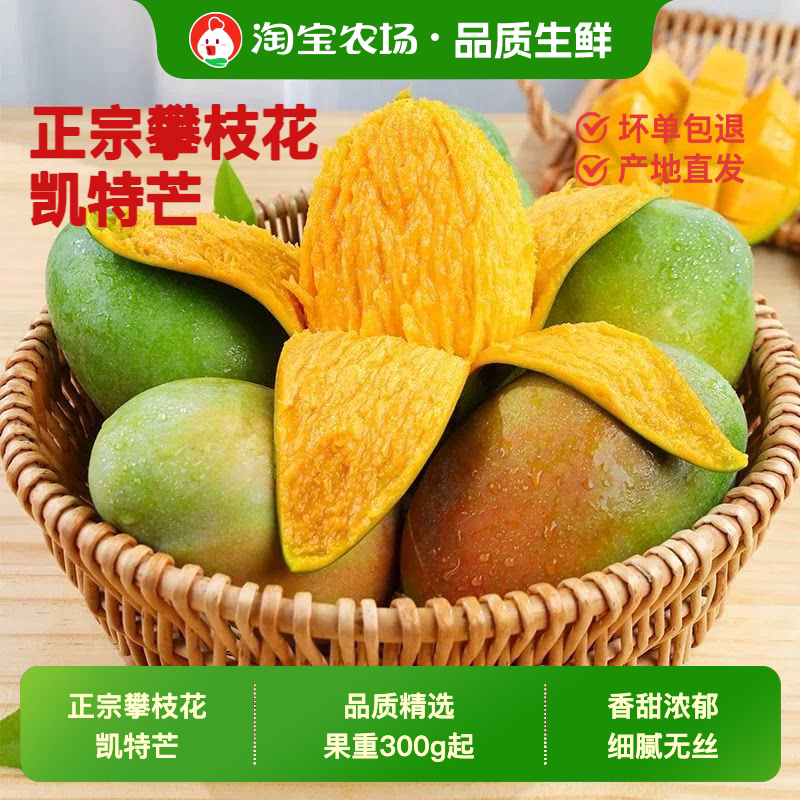 凯特芒果新鲜水果当季忙青皮特大现货产地现摘应季好吃的果肉每日