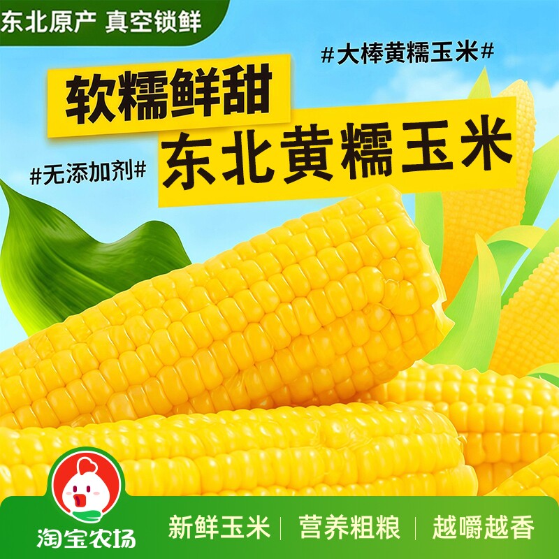 东北黑龙江黄糯玉米黏甜粘苞米粒现摘营养早餐黏玉米棒新鲜农场