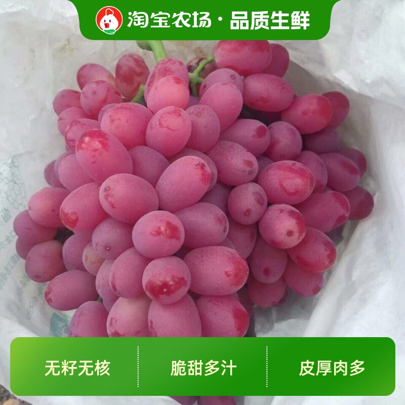 新鲜克伦生红提葡萄无籽脆甜当季克伦森整箱肉多现摘无核提子农场