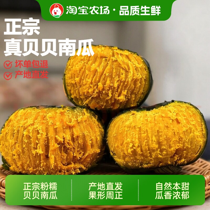 贝贝小南瓜正宗板栗味宝宝辅食新鲜粗粮粉糯香甜产地蔬菜美食农场
