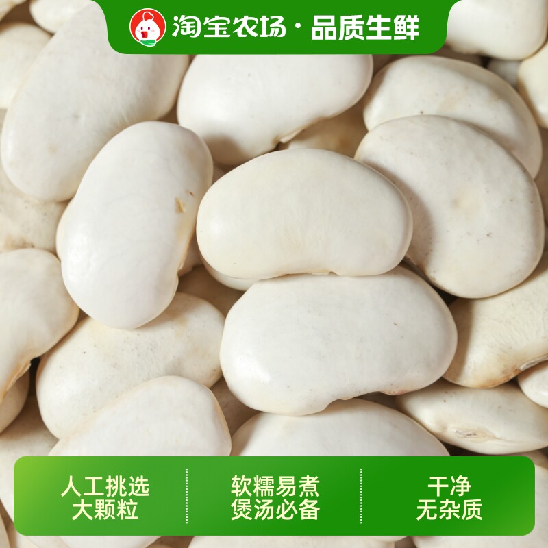 白芸豆干货新货大芸豆新鲜云豆大豆大白豆雪豆粗粮原味大粒食用