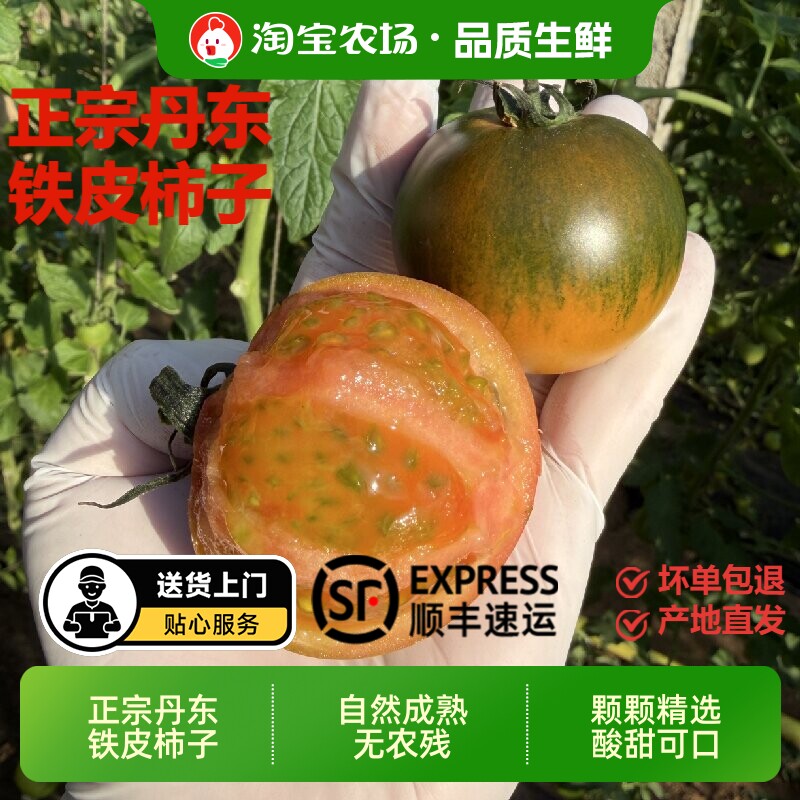 丹东草莓柿子西红柿新鲜自然熟铁皮柿子盘锦碱地生吃水果番茄顺丰
