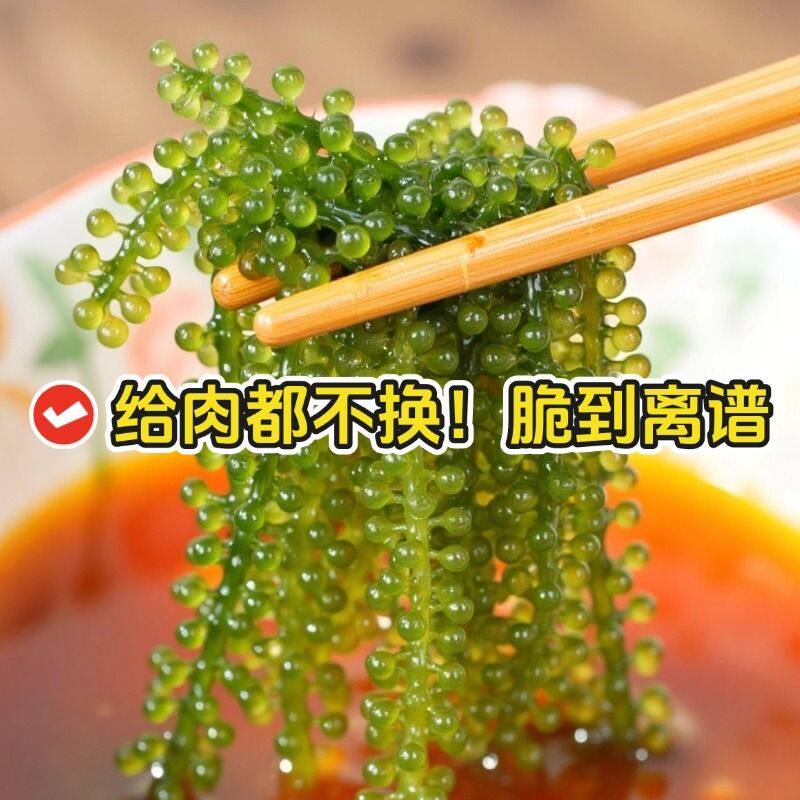 海葡萄即食  爱尚港旗舰品质  宝宝爱吃盐渍海葡萄水葡萄
