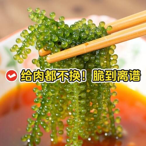 小孩吃的爱尚港盐儿童盐渍水葡萄即食健康零食