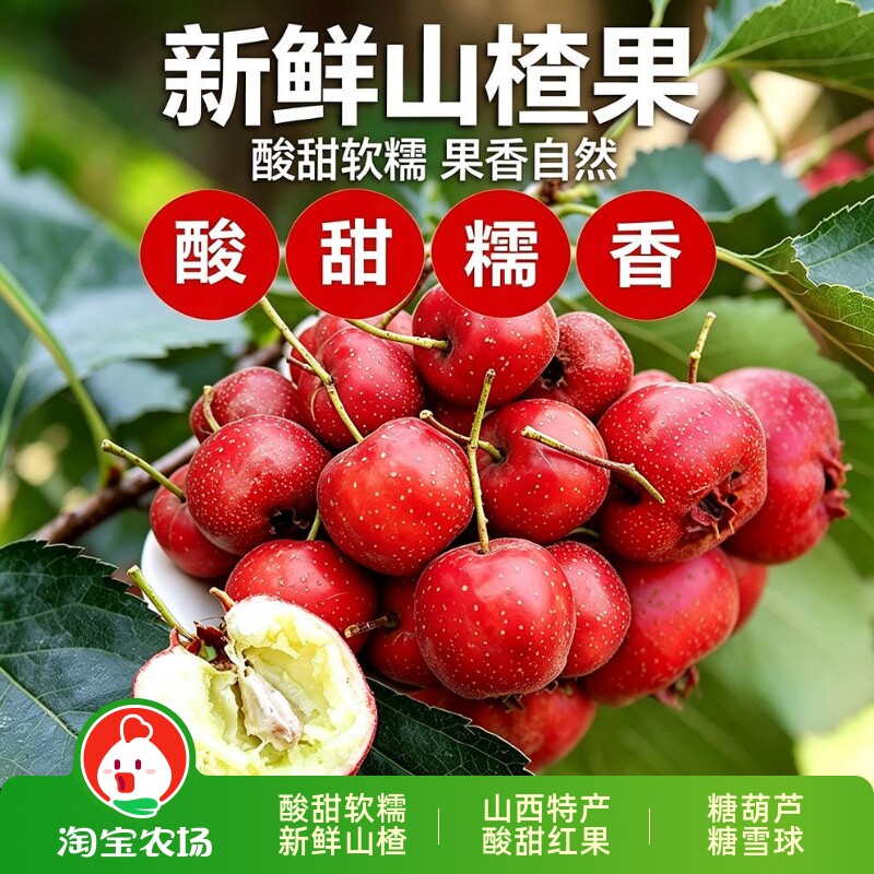 山楂果新鲜山楂果农家鲜山楂大果山里红果冰糖葫芦批发天然鲜水果