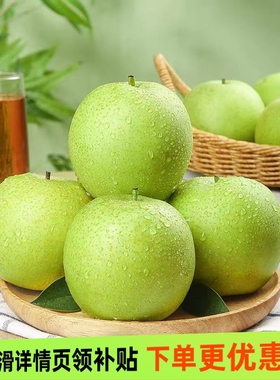 正宗砀山青皇冠梨薄皮当季新鲜水果批发整箱脆甜可口多汁梨子