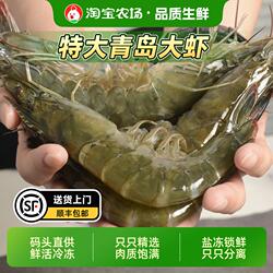 特大虾鲜活冷冻新鲜虾子青虾基围虾海鲜青岛大虾生鲜白虾水产速冻