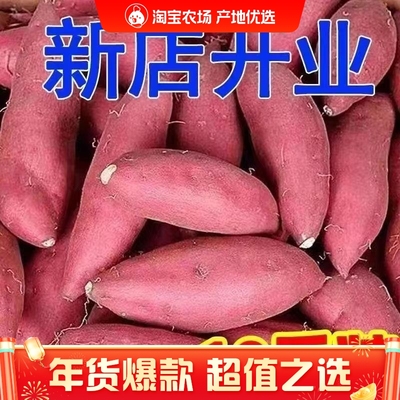 正宗蜜薯板栗红薯沙地黄心现挖番薯新鲜糖心地瓜山芋烟薯批发香甜