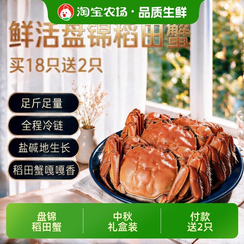 【买就送2只】正宗盘锦稻田蟹河蟹鲜活大闸蟹中秋礼盒装黄满膏肥