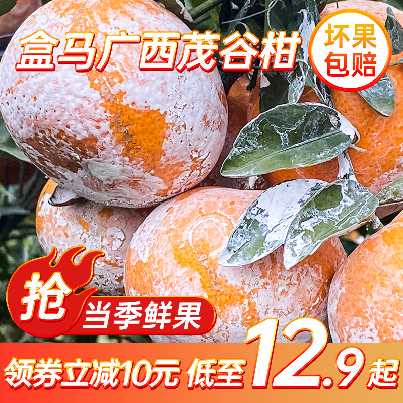 盒马广西茂谷柑2斤起当季新鲜水果脏脏柑石灰柑柑橘桔子丑沃柑