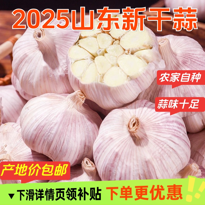 山东紫皮大蒜头产地价包邮