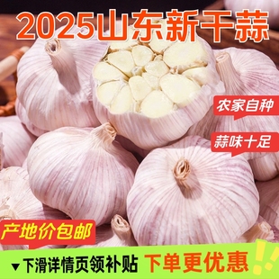 2025年新蒜山东紫皮大蒜头干蒜多瓣蒜金乡大蒜头产地价包邮
