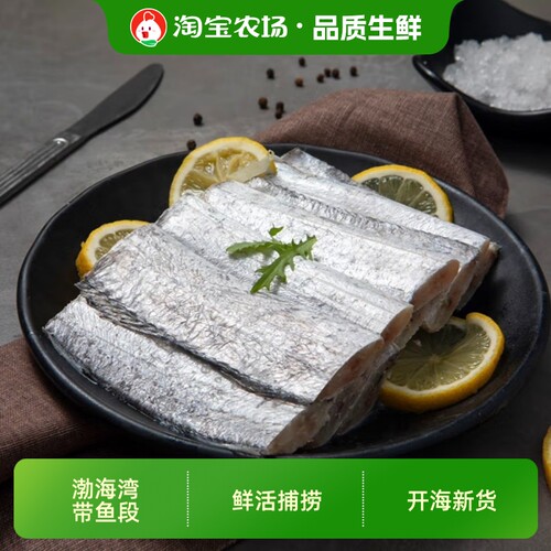 渤海湾带鱼段新鲜冷冻中段刀鱼段山东海鱼整箱批发水产鱼肉鲜活
