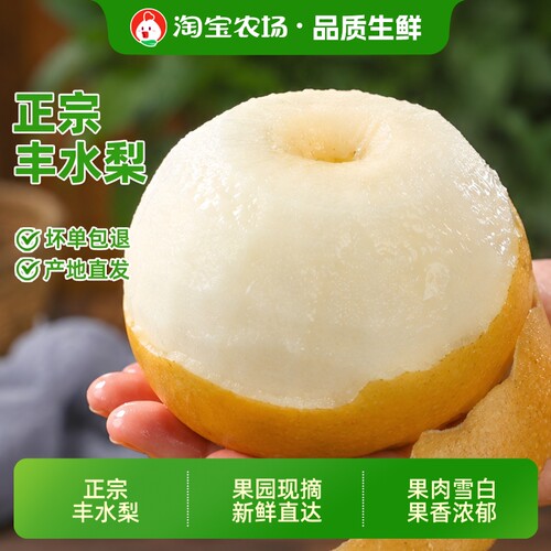 正宗山东丰水梨水果梨子新鲜冰糖雪梨子整箱包邮当季农场秋月现摘
