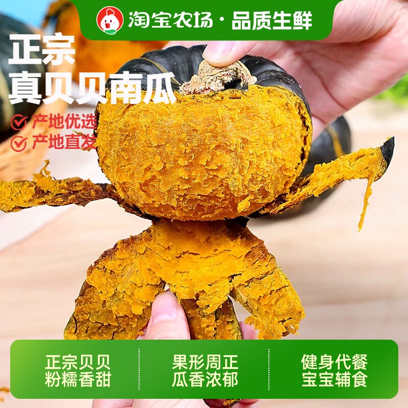 正宗贝贝南瓜板栗味软糯宝宝辅食绵密细腻新鲜现摘美食农场优选
