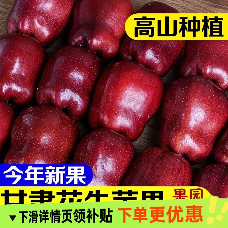 正宗甘肃天水花牛苹果小孩老人面粉脆沙甜蛇红新鲜水果粉面果现摘