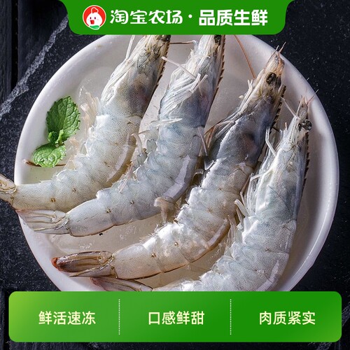 鲜冻白虾3040规格鲜活冷冻大虾生鲜速冻白对虾盐冻海虾1500g水产